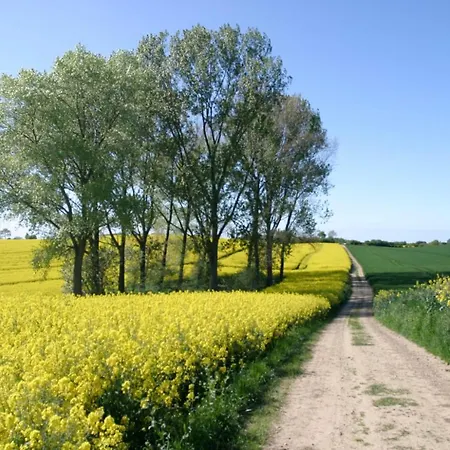 Ankerplatz Maria Apartment